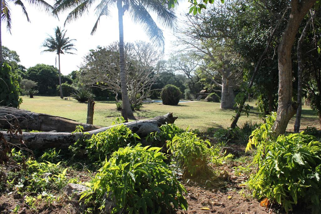 Gooderson Bushlands Game Lodge Hluhluwe Buitenkant foto