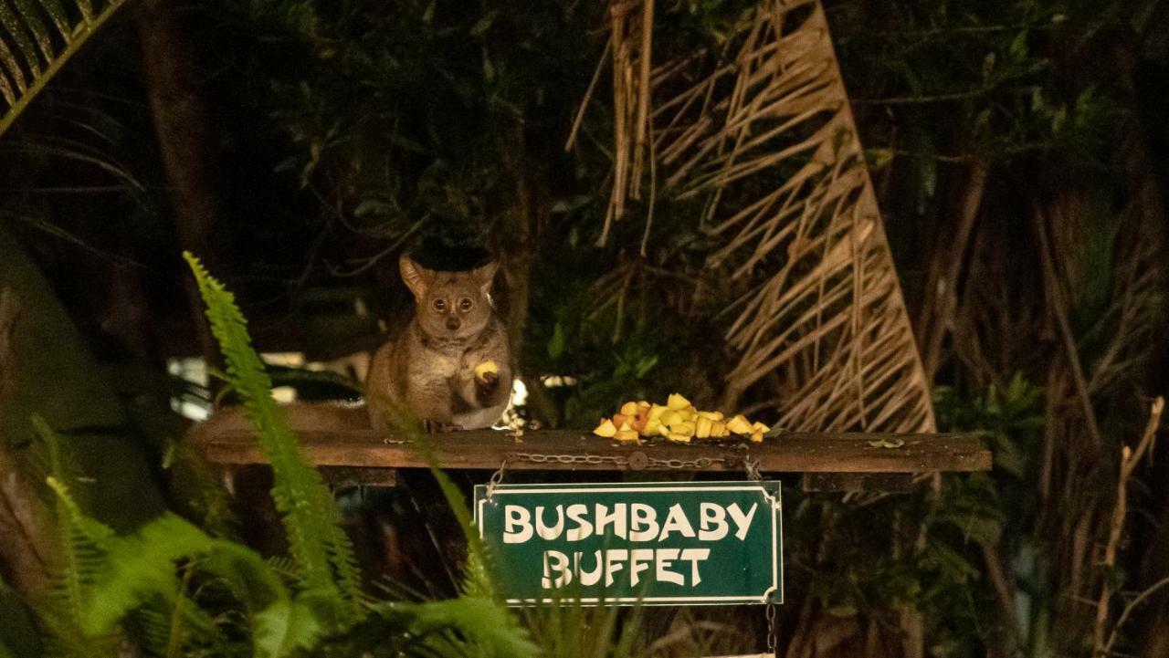 Gooderson Bushlands Game Lodge Hluhluwe Buitenkant foto
